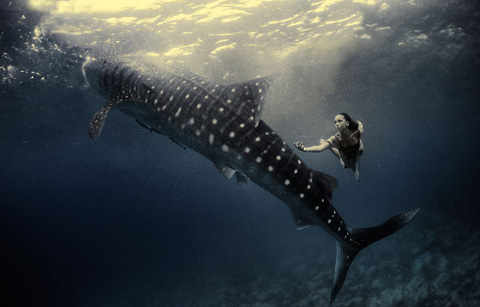 Bộ[-]ảnh[-]đẹp[-]lung[-]linh[-]được[-]thực[-]hiện[-]bởi[-]2[-]nhiếp[-]ảnh[-]gia[-]tài[-]năng[-]là[-]Shawn[-]Heinrichs[-]và[-]Kristian[-]Schmidt...